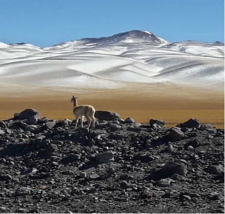 Catamarca 1